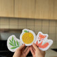 Plantish. Set of 3 - Pop up Sponges