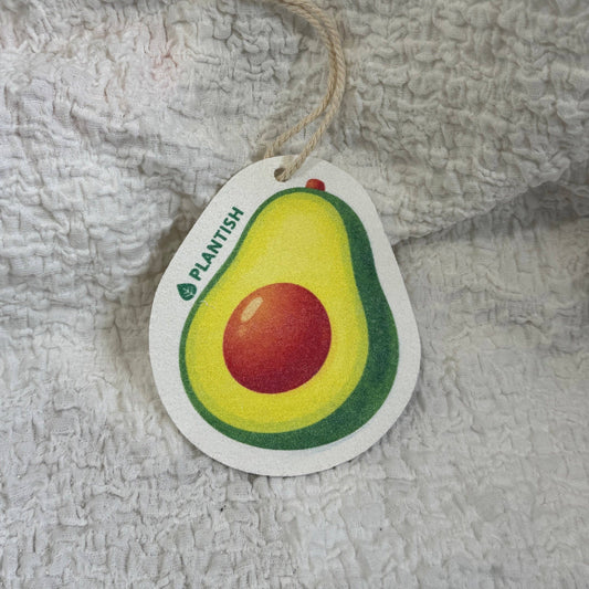 Avocado - Pop up Sponge