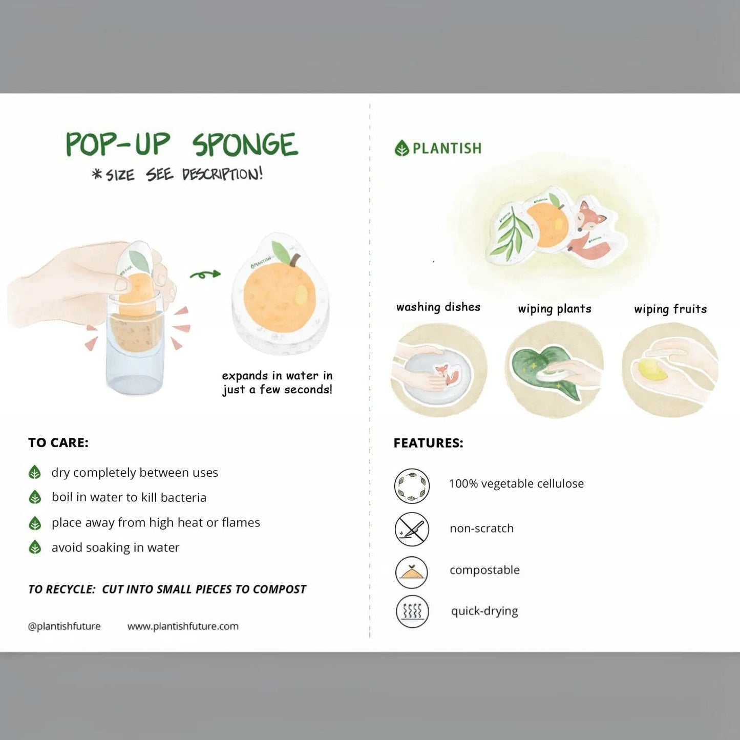Plantish Capybara Pop-up Sponge