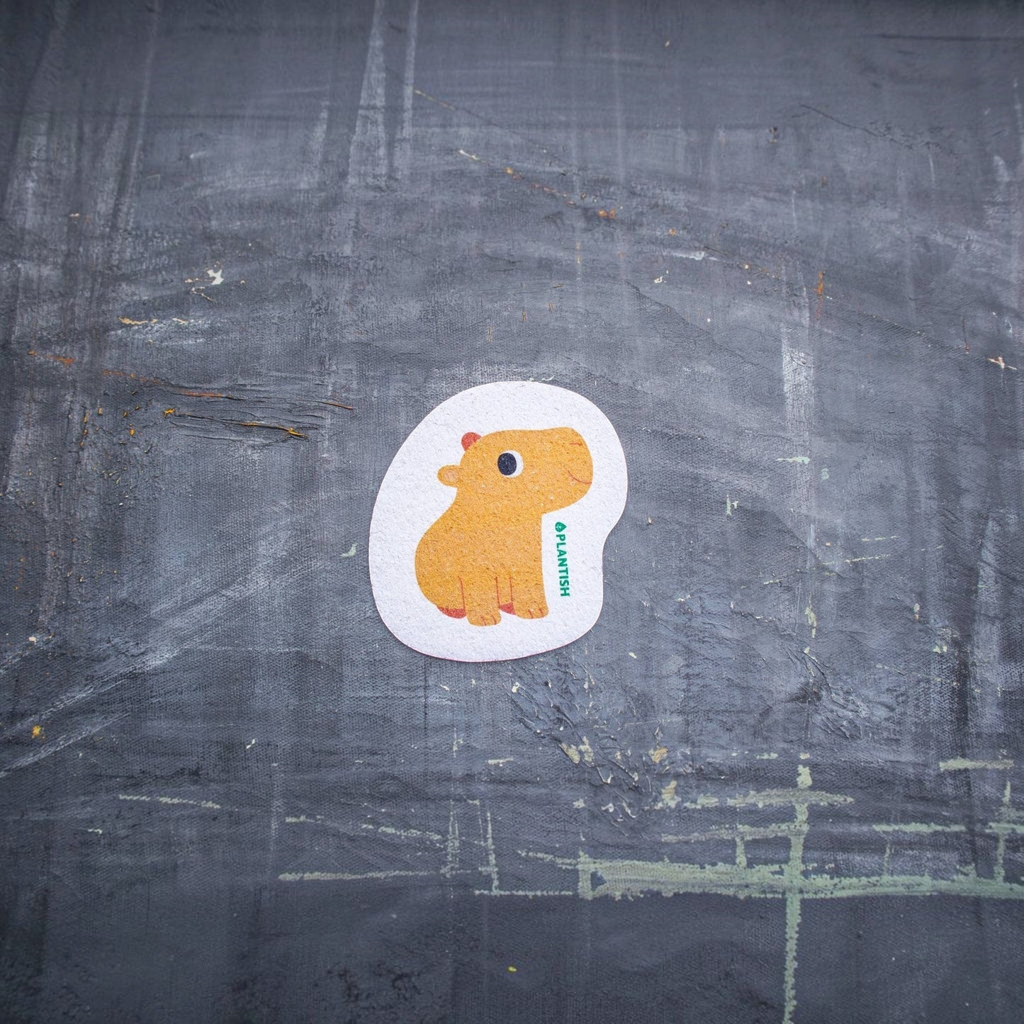 Plantish Capybara Pop-up Sponge