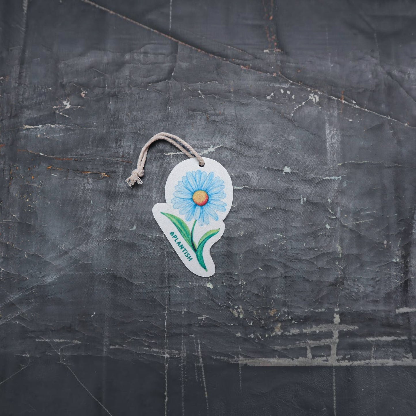 Bubble Gallery blue daisy pop-up sponge with a hanging string on a dark textured background