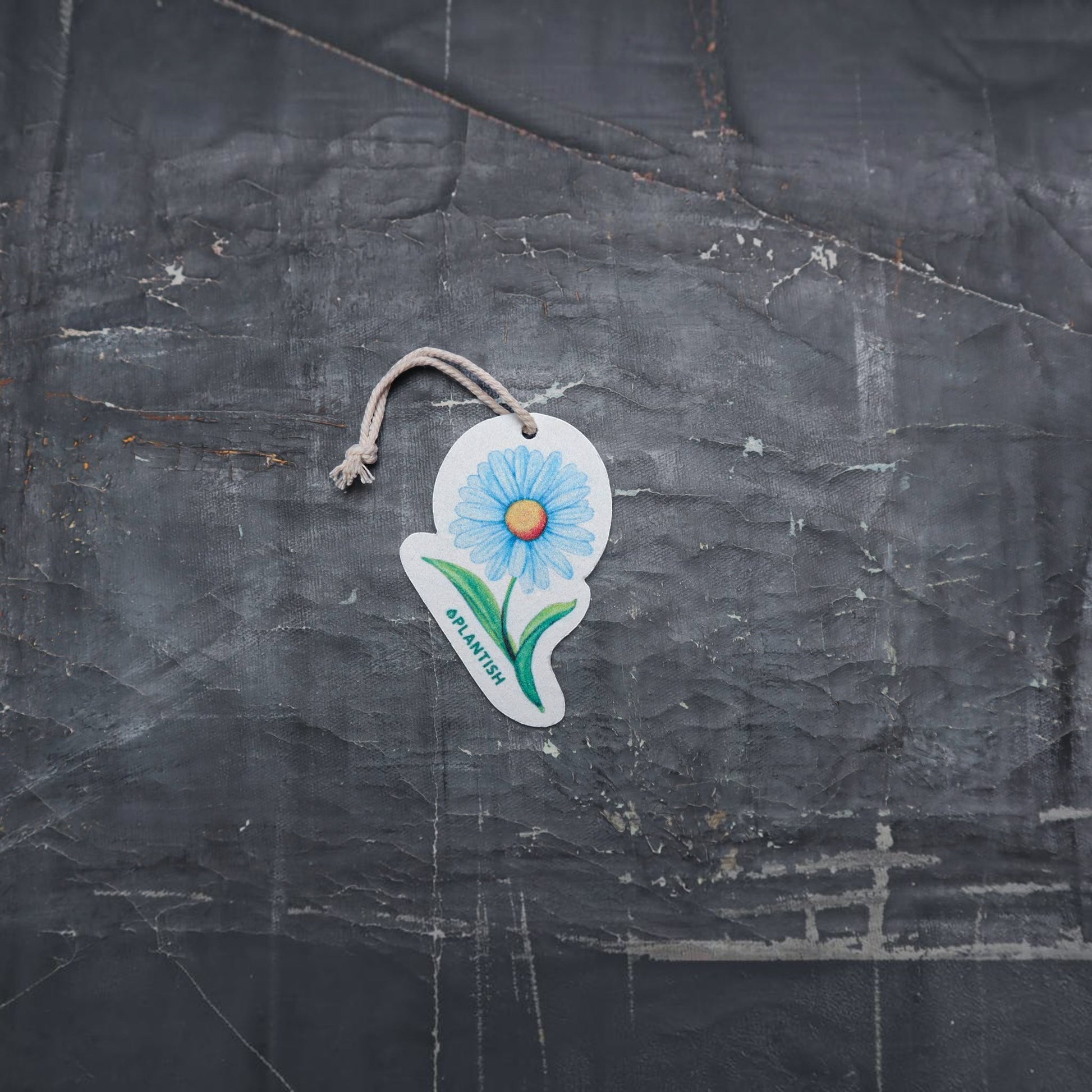 Bubble Gallery blue daisy pop-up sponge with a hanging string on a dark textured background