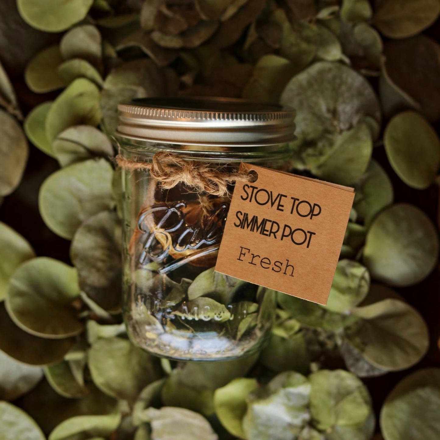 Bubble Gallery Fresh simmer pot in a glass mason jar with lavender, cardamom, lemon, and eucalyptus on eucalyptus leaves