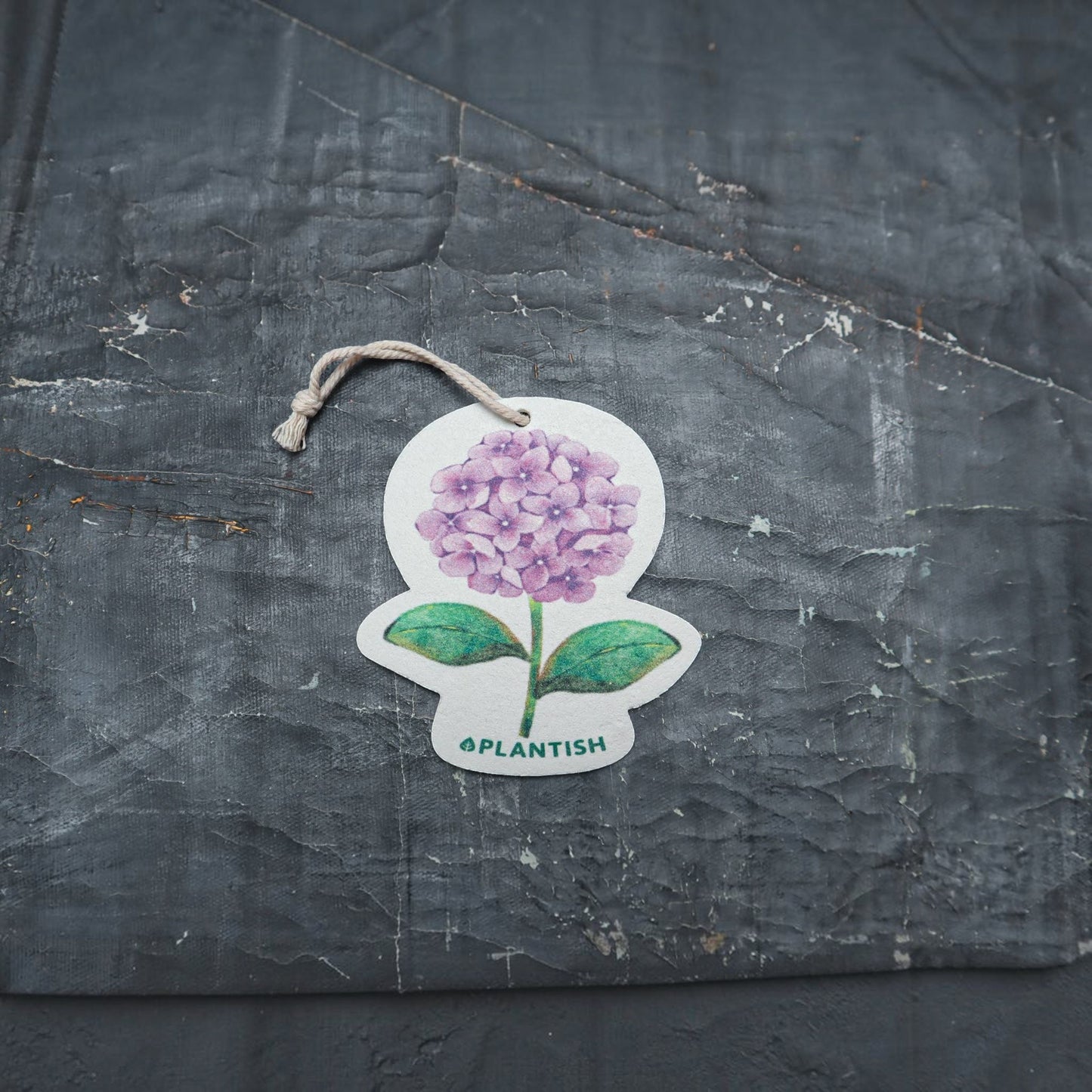 Bubble Gallery hydrangea pop-up sponge with a floral design and hanging string on a dark textured background