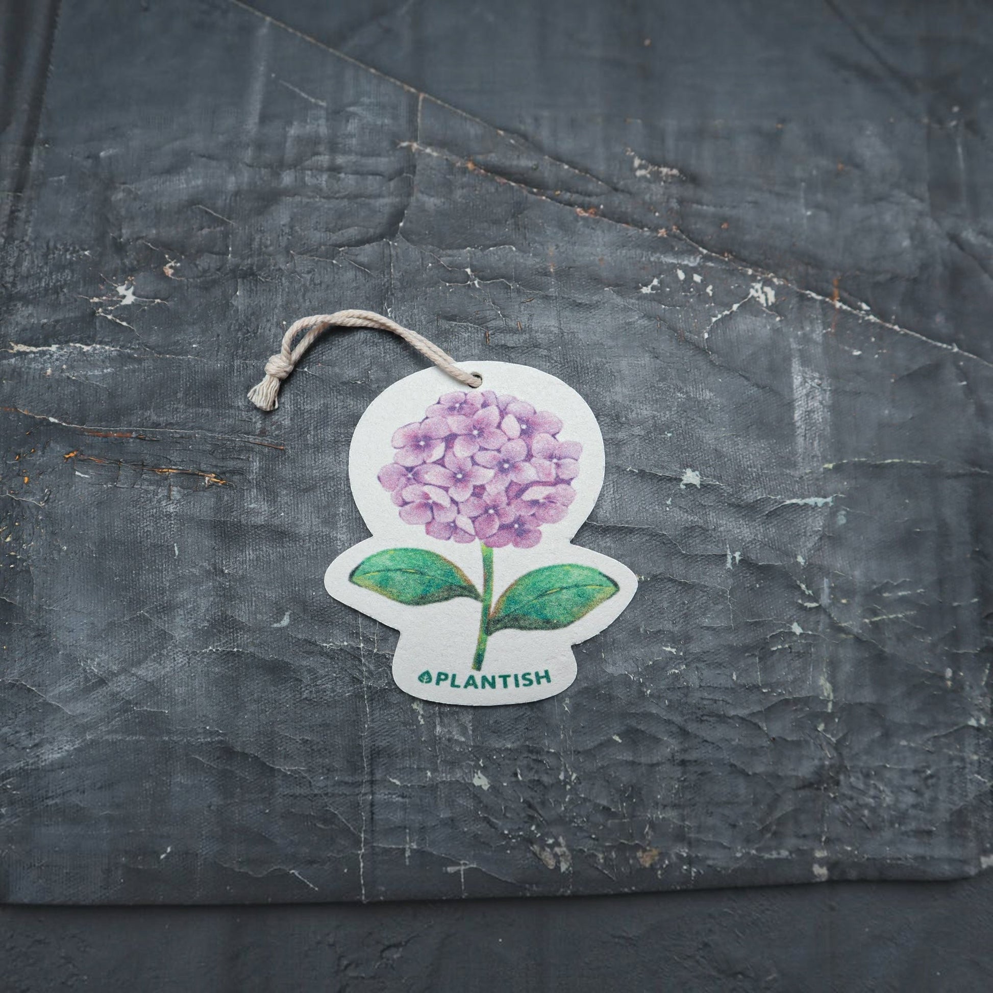 Bubble Gallery hydrangea pop-up sponge with a floral design and hanging string on a dark textured background