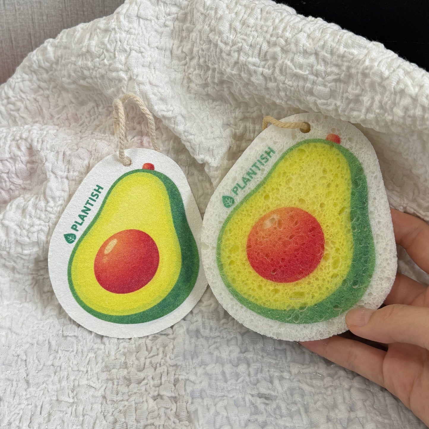 Avocado - Pop up Sponge